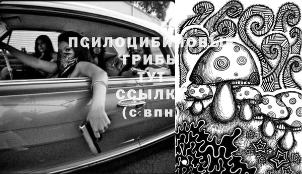 кристаллы Покровск
