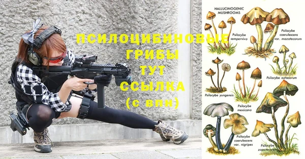 кокс Абдулино