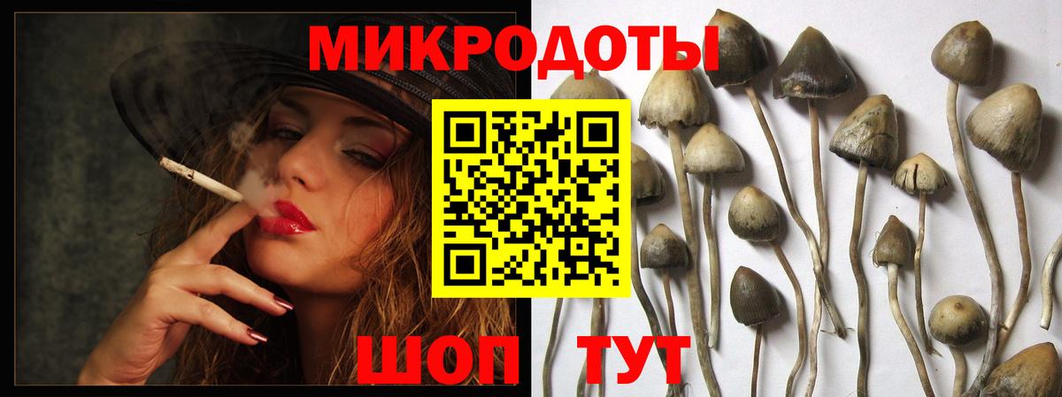 Галлюциногенные грибы Psilocybe  Псилоцибиновые грибы ЛСД  Советск  Вход с VPN 