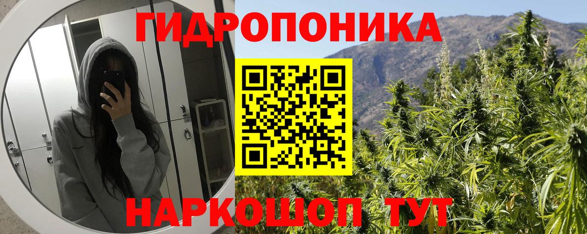Бошки Шишки Ganja  Вход с VPN  Канабис планчик  Советск  Бошки Шишки AK-47 